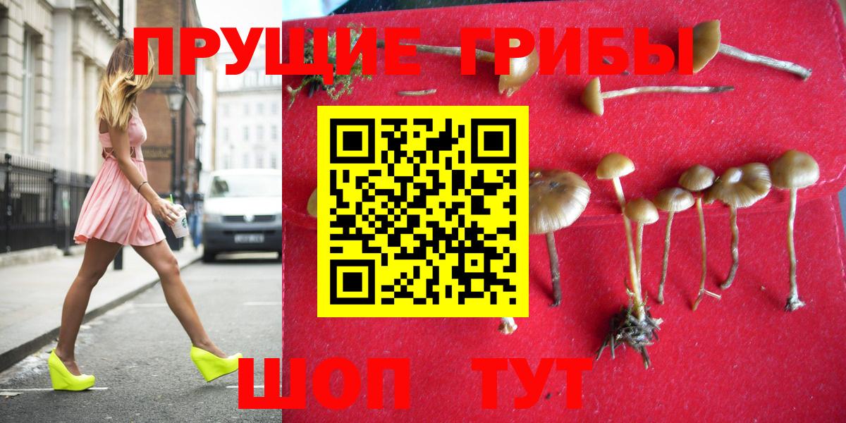 Псилоцибиновые грибы прущие грибы  Псилоцибиновые грибы Cubensis  Сальск  Вход с VPN 
