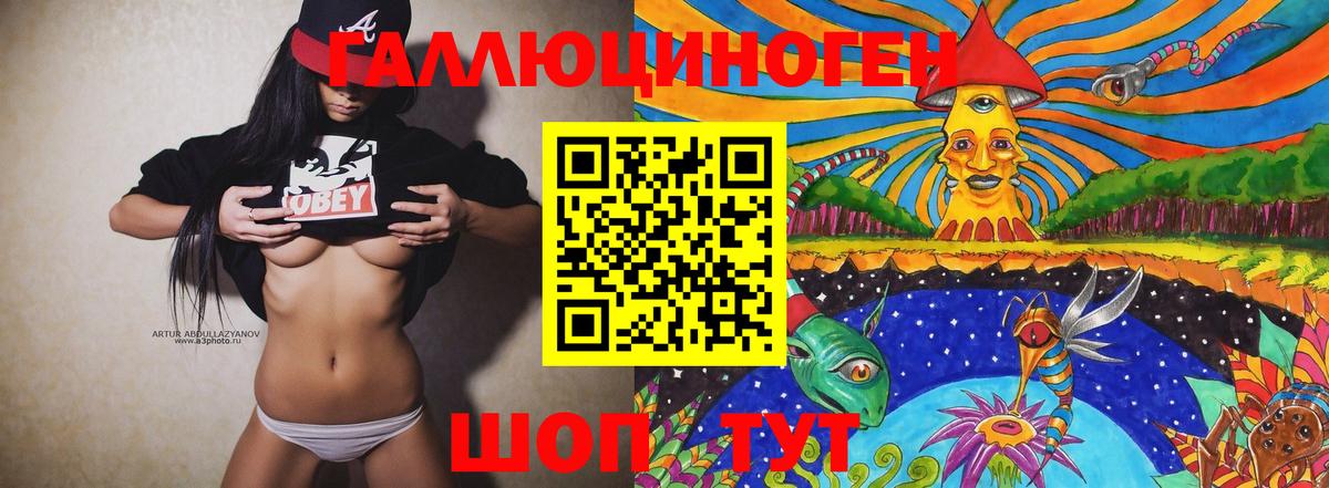Псилоцибиновые грибы Psilocybe Сальск